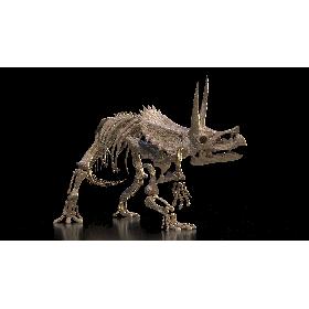 3D Triceratops Skeleton Fossil Rigged
